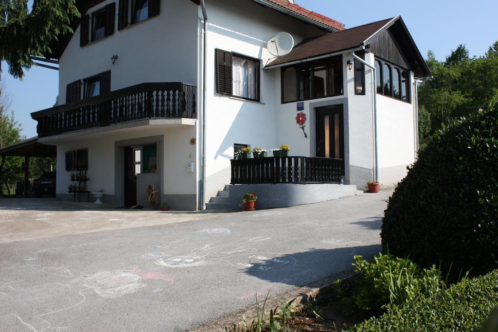 Apartment Jelena Selište Drežničko Zimmer foto