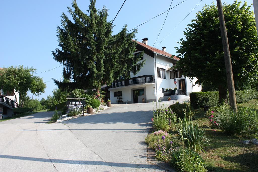 Apartment Jelena Selište Drežničko Zimmer foto