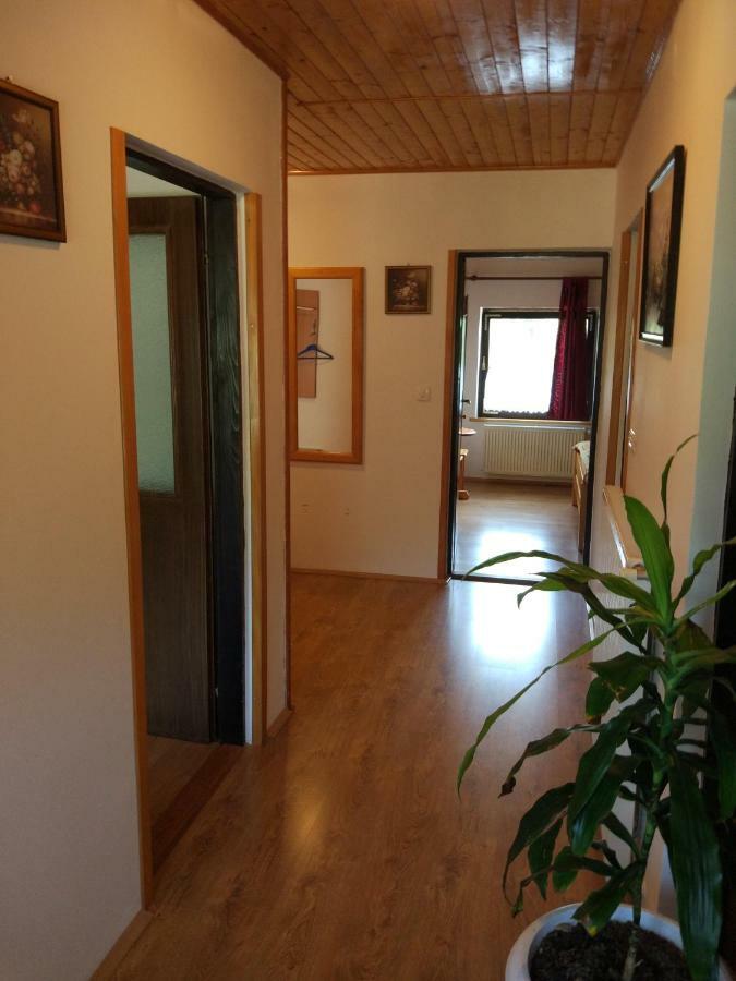 Apartment Jelena Selište Drežničko Exterior foto
